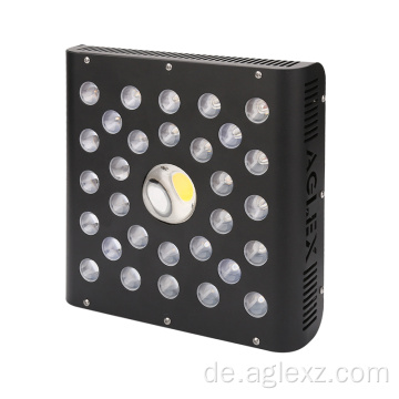 Sukkulente LED wachsen Licht 600W mit vollem Spektrum